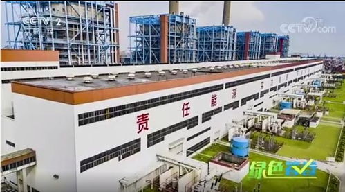 深圳 一座可以深呼吸的城市，央视点赞的大气污染监测典范